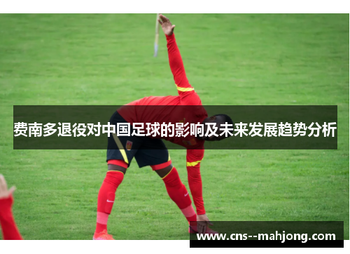 费南多退役对中国足球的影响及未来发展趋势分析 费南多退役对中国足球的影响及未来发展趋势分析